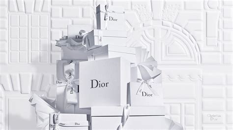 christian dior eunternehmen|christian dior official website.